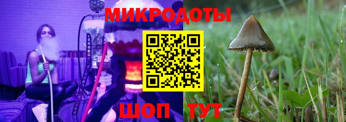 Псилоцибиновые грибы Psilocybine cubensis Сатка